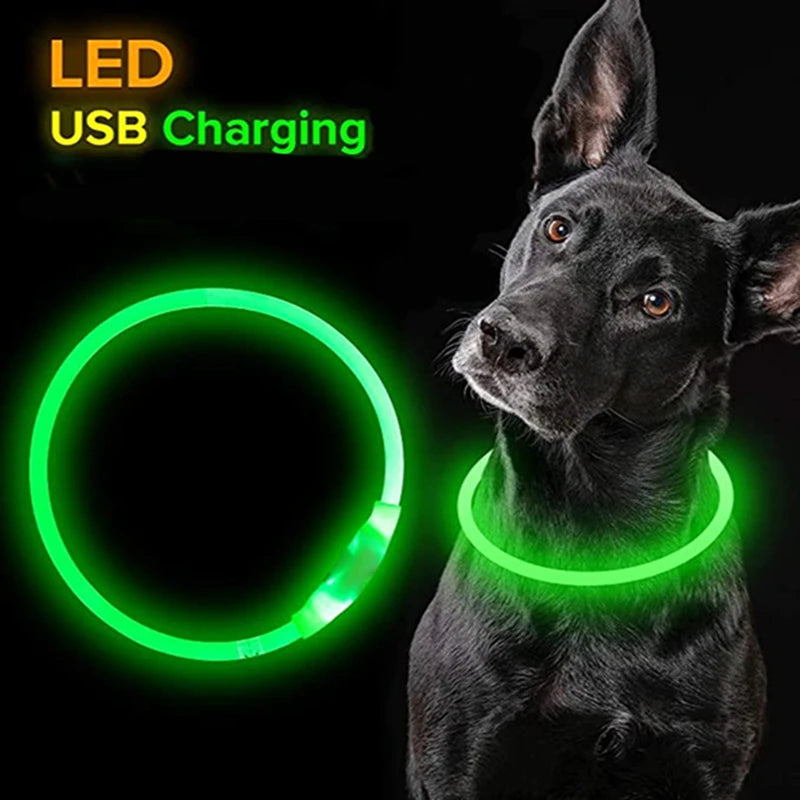 Led Dog Collar Luminous Usb Cat Pet Collar 3 Modes Led Light Glowing Loss Prevention LED Collar For Dogs And Pets  Accessories